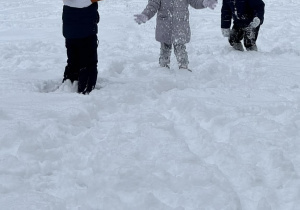 Zdjęcie przedstawia dzieci podczas zabaw na śniegu