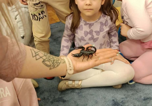 dzieci przyglądające się zwierzętom