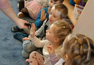 dzieci przyglądające się zwierzętom