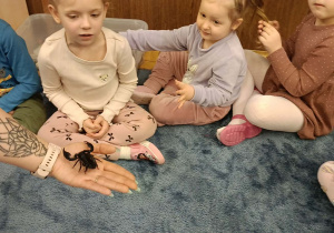 dzieci przyglądające się zwierzętom