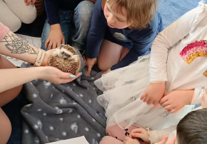 dzieci przyglądające się zwierzętom