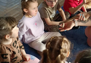 dzieci przyglądające się zwierzętom