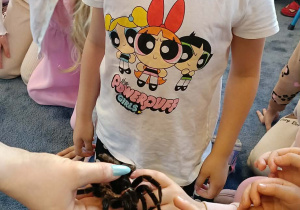 dzieci przyglądające się zwierzętom