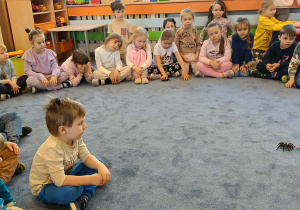 dzieci przyglądające się zwierzętom