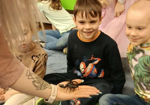 dzieci przyglądające się zwierzętom