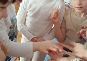 dzieci przyglądające się zwierzętom