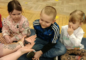 dzieci przyglądające się zwierzętom