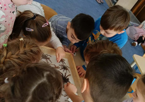 dzieci przyglądające się zwierzętom