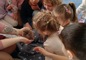 dzieci przyglądające się zwierzętom