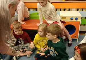 dzieci przyglądające się zwierzętom