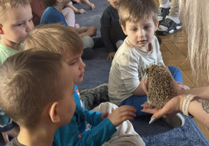 Zdjęcie przedstawia dzieci w trakcie spotkania ze zwierzętami