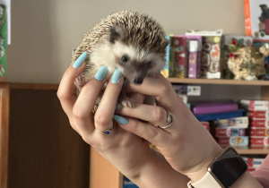 Zdjęcie przedstawia dzieci w trakcie spotkania ze zwierzętami