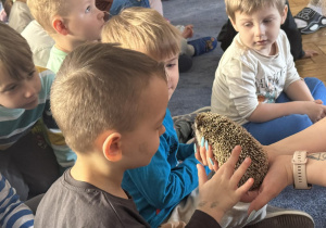 Zdjęcie przedstawia dzieci w trakcie spotkania ze zwierzętami