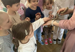 Zdjęcie przedstawia dzieci w trakcie spotkania ze zwierzętami