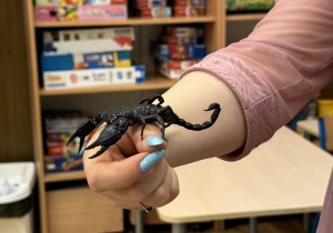 Zdjęcie przedstawia dzieci w trakcie spotkania ze zwierzętami