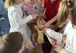 Zdjęcie przedstawia dzieci w trakcie spotkania ze zwierzętami