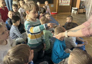 Zdjęcie przedstawia dzieci w trakcie spotkania ze zwierzętami