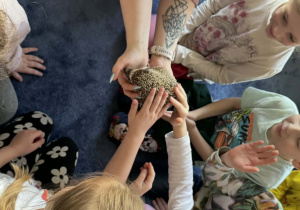 Zdjęcie przedstawia dzieci w trakcie spotkania ze zwierzętami