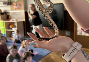 Zdjęcie przedstawia dzieci w trakcie spotkania ze zwierzętami