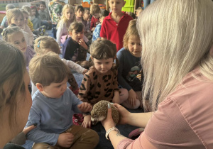 Zdjęcie przedstawia dzieci w trakcie spotkania ze zwierzętami