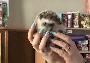 Zdjęcie przedstawia dzieci w trakcie spotkania ze zwierzętami