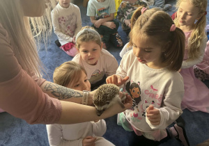 Zdjęcie przedstawia dzieci w trakcie spotkania ze zwierzętami