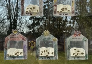 Zdjęcie przedstawia domki dla fasolek