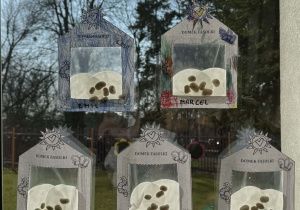 Zdjęcie przedstawia domki dla fasolek