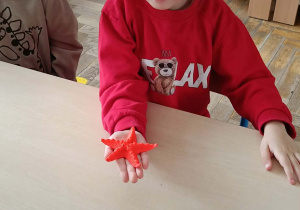 Dziewczynka prezentuje rozgwiazdę