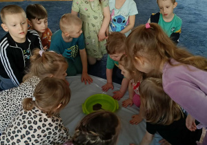 Dzieci obserwują płaszczkę w wodzie