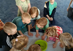 Dzieci obserwują płaszczkę w wodzie