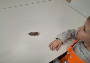 Zdjęcie przedstawia dzieci podczas zajęć w muzeum