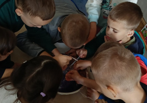 Nauka nie musi być nudna! Dzieci podczas zajęć wykonywały ciekawe eksperymenty, samodzielnie odkrywały tajemnice otaczającego świata i z ogromnym zaangażowaniem obserwowały efekty swoich działań. Było dużo radości, zabawy i… nauki przez doświadczenie!