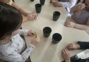 Dzieci pijące sok własnej produkcji