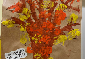Zdjęcie 1 na 5