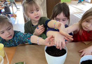 Zdjęcie przedstawia dzieci, podczas sadzenia roślin