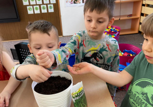 Zdjęcie przedstawia dzieci, podczas sadzenia roślin