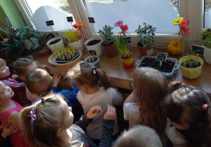 Zdjęcie przedstawia dzieci podziwiające wiosenny ogródek
