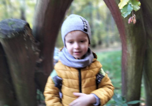 Zdjecie przedstawia dzieci w trakcie wycieczki do lasu