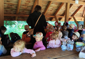 Zdjęcie przedstawia dzieci w trakcie wycieczki do Lasu Łagiewnickiego